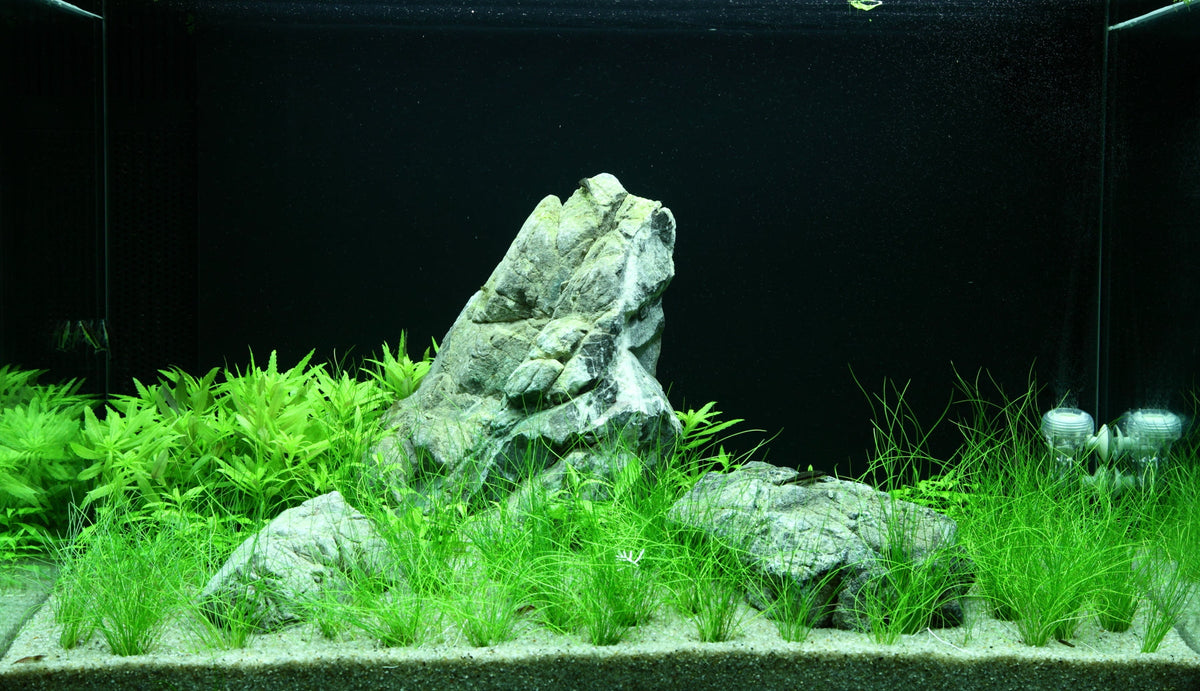Layout 100 (100 L)