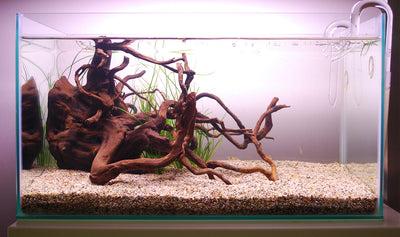 Layout 103 (28 L)