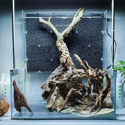 Layout 119 (24 L)