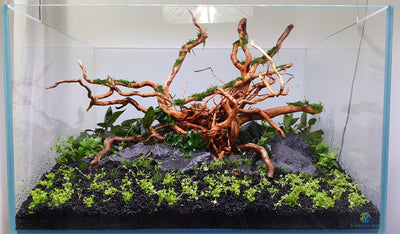 Layout 122 (110 L)