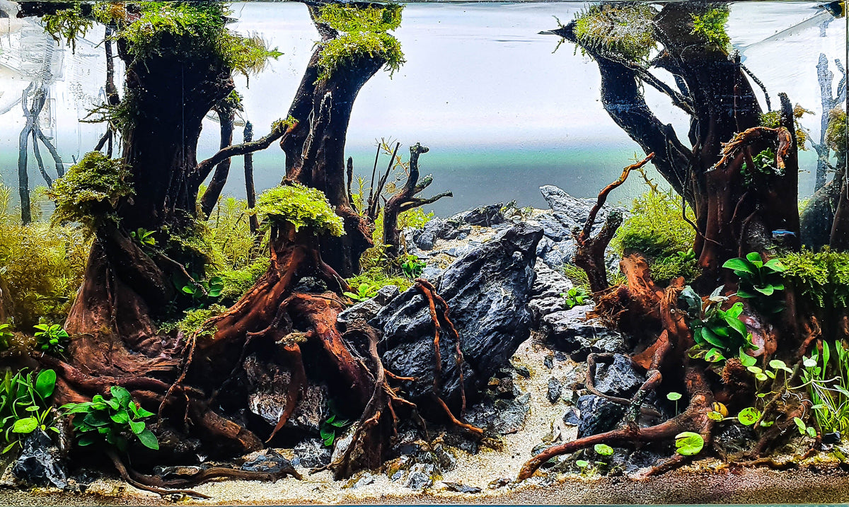 Layout 123 (82 L)
