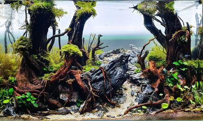 Layout 123 (82 L)