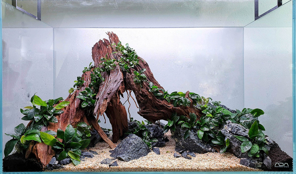 Layout 124 (54 L)