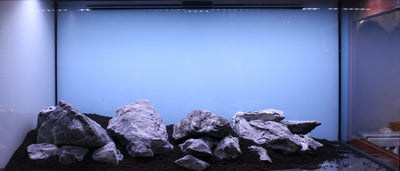 Layout 129 (272 L)