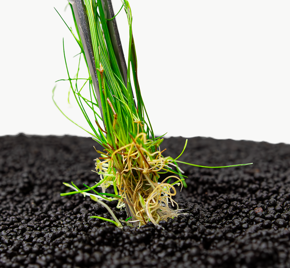 Getting started with 1•2•GROW!