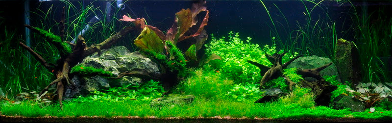 Layout 3 (297 L)