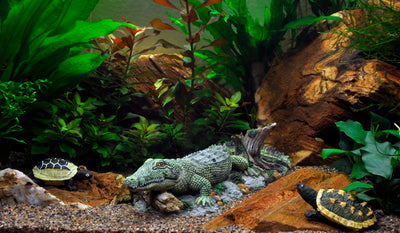 Layout 4 (112 L)