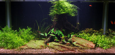 Layout 17 (128 L)