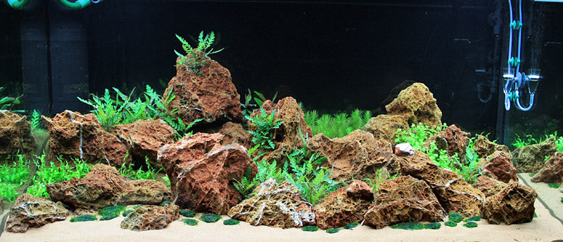 Layout 23 (360 L)