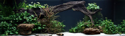 Layout 27 (350 L)