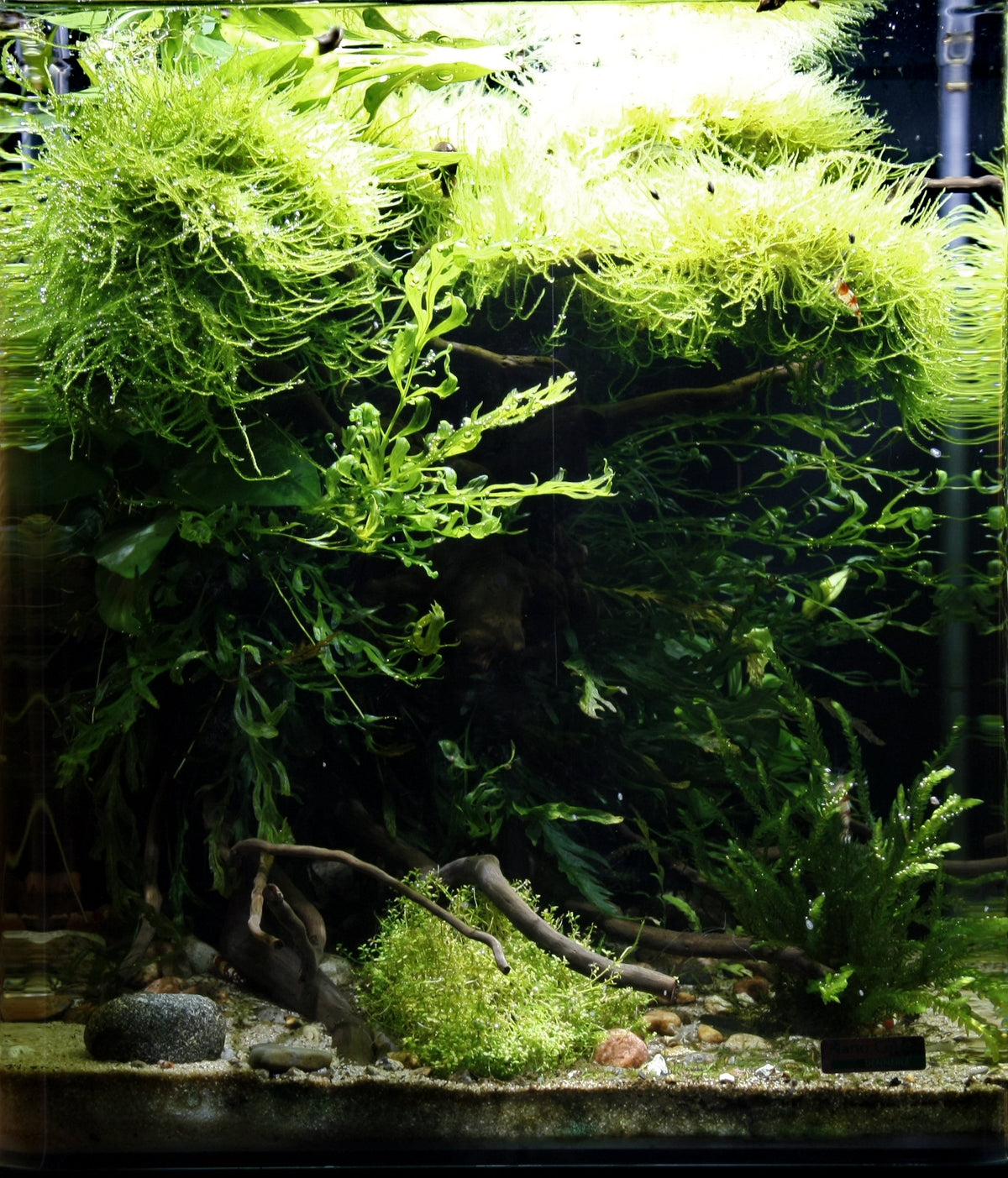 Layout 29 (30 L)