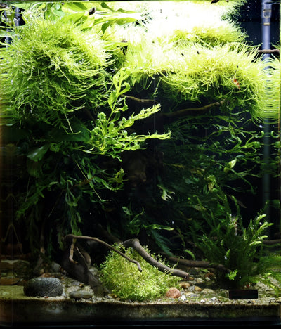 Layout 29 (30 L)