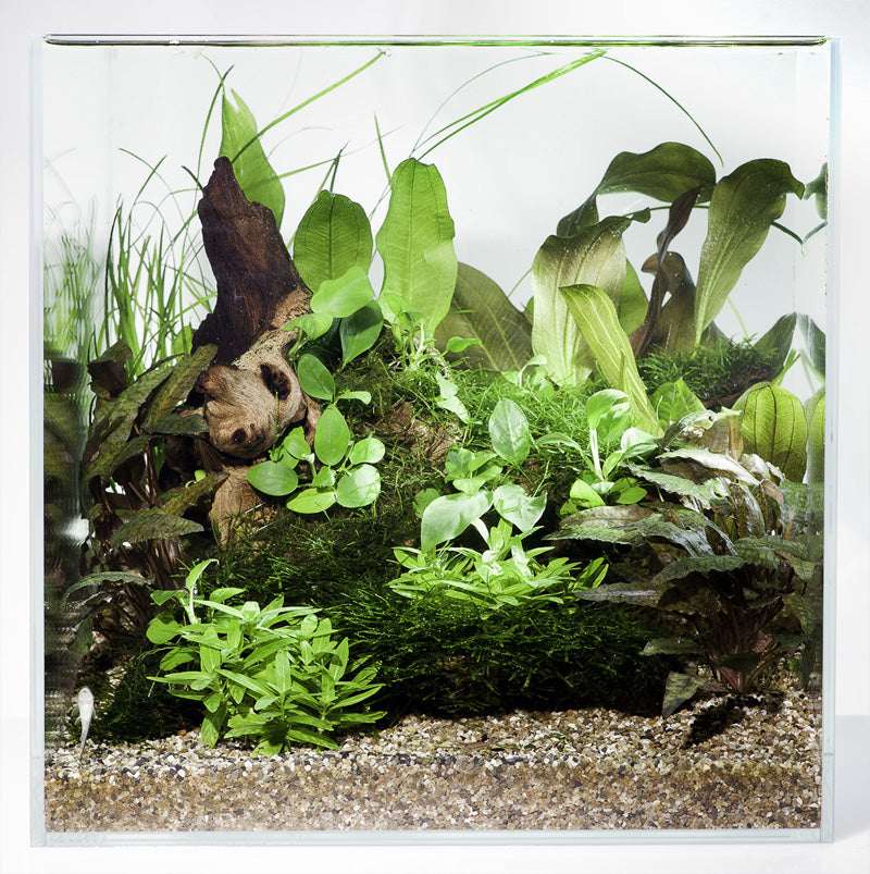 Layout 43 (30 L)