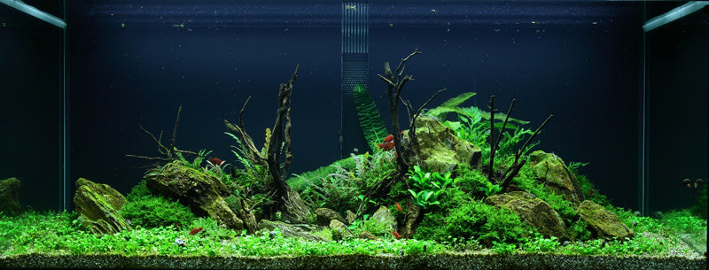 Layout 52 (300 L)
