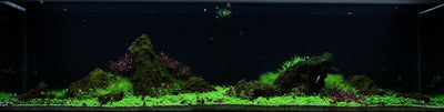 Layout 53 (225 L)
