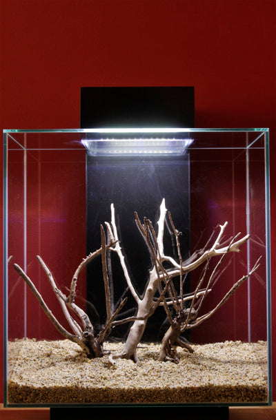 Layout 58 (46 L)