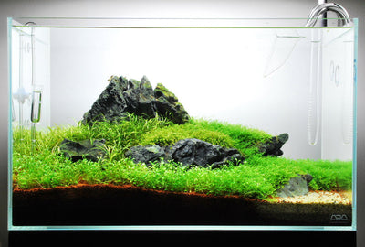 Layout 59 (60 L)