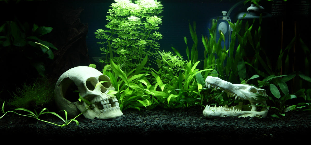 Layout 90 (54 L)