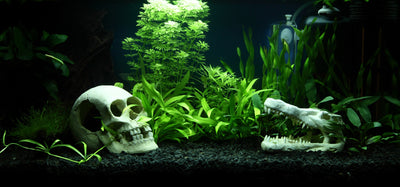 Layout 90 (54 L)