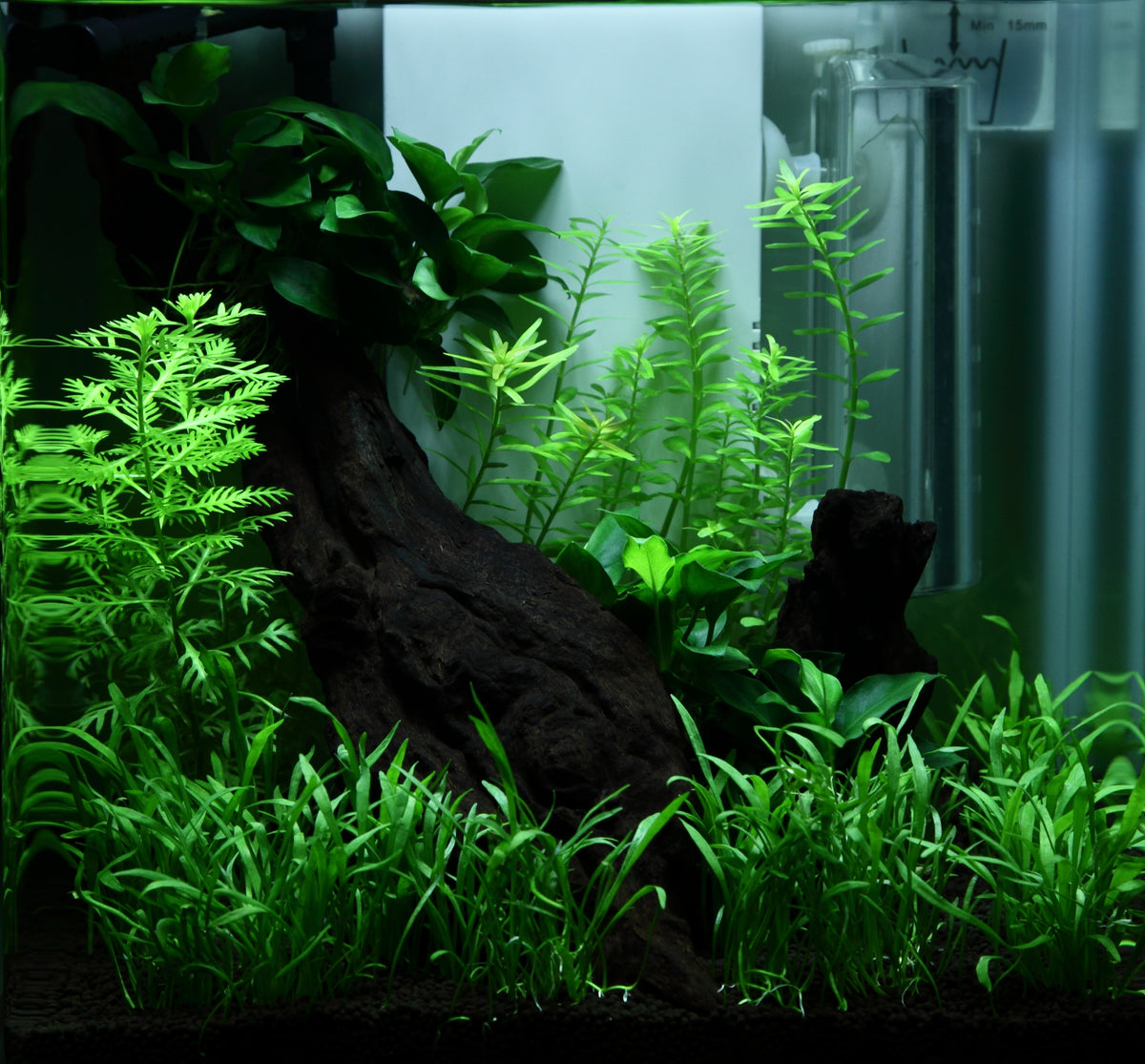Layout 92 (15 L)