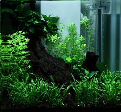 Layout 92 (15 L)