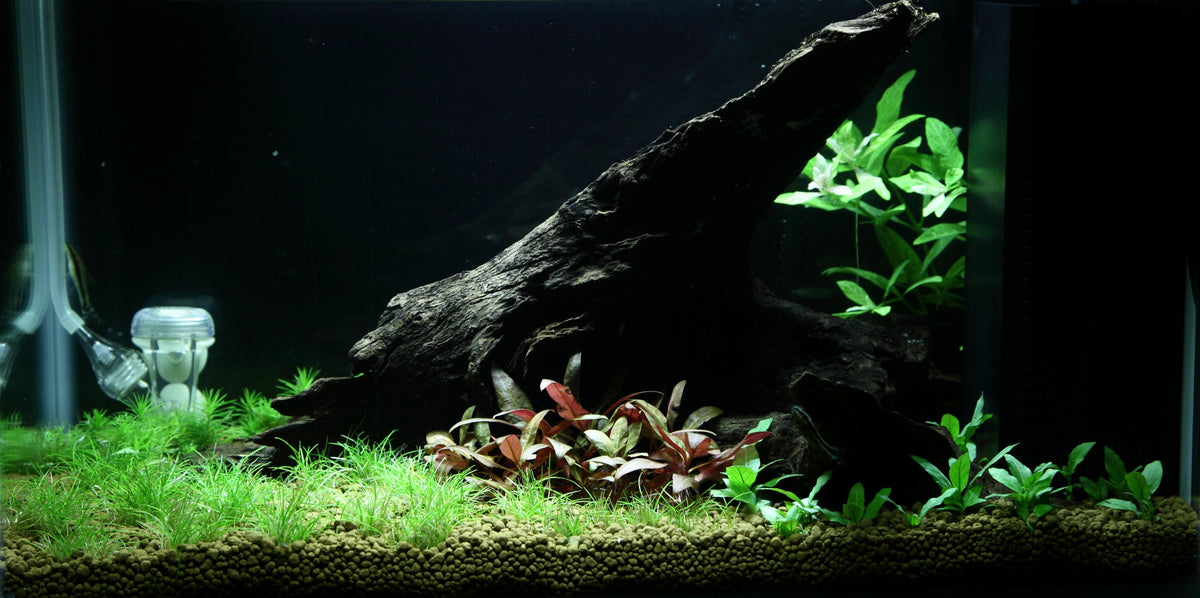 Layout 93 (25 L)
