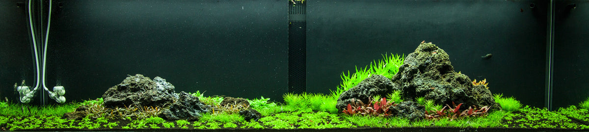 Layout 94 (270 L)