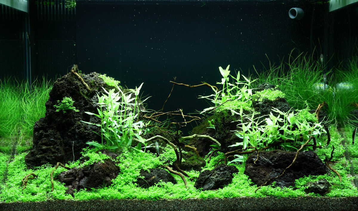 Layout 99 (100 L)