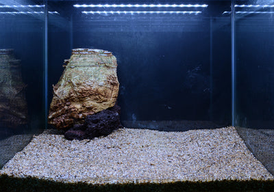 Layout 107 (57 L)