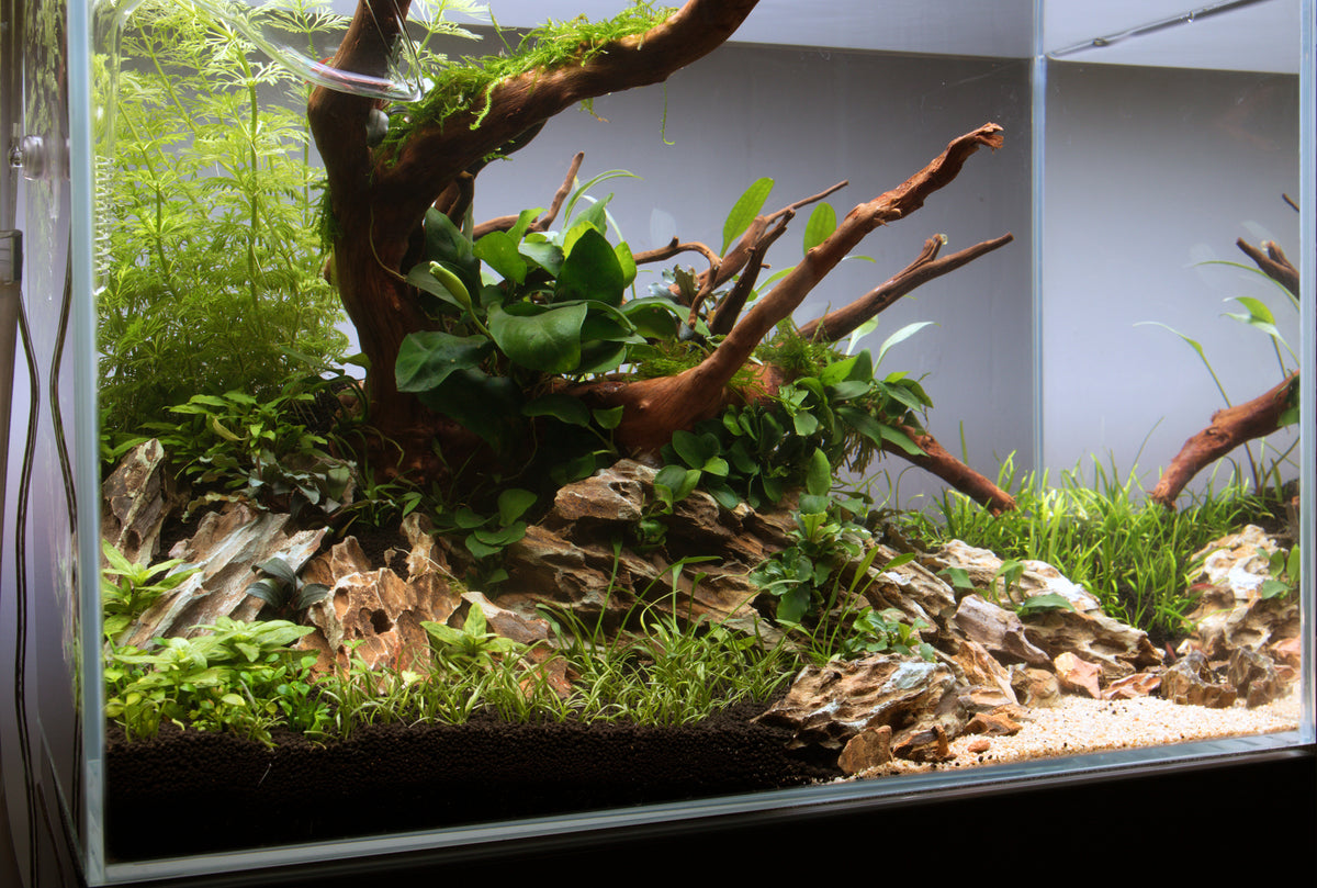 Layout 115 (35 L)