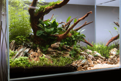 Layout 115 (35 L)