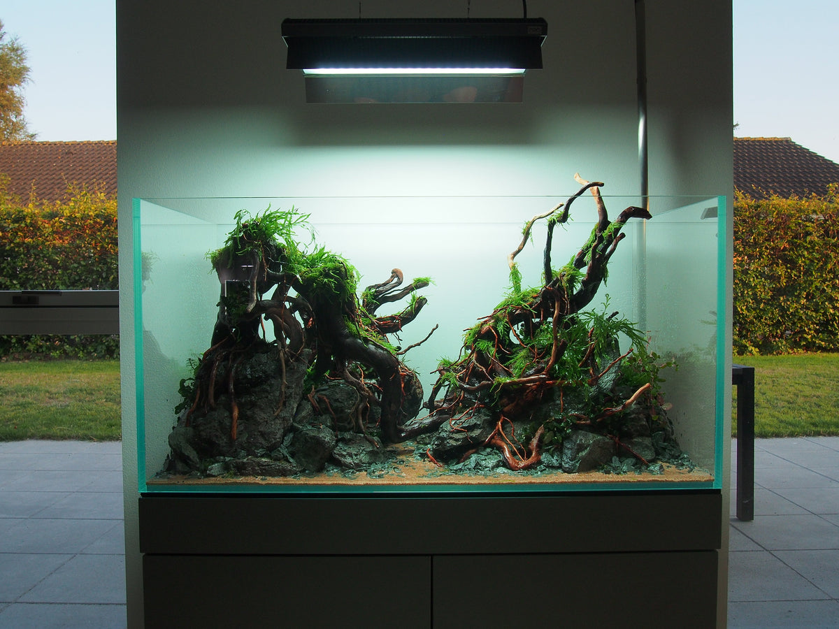 Layout 121 (180 L)