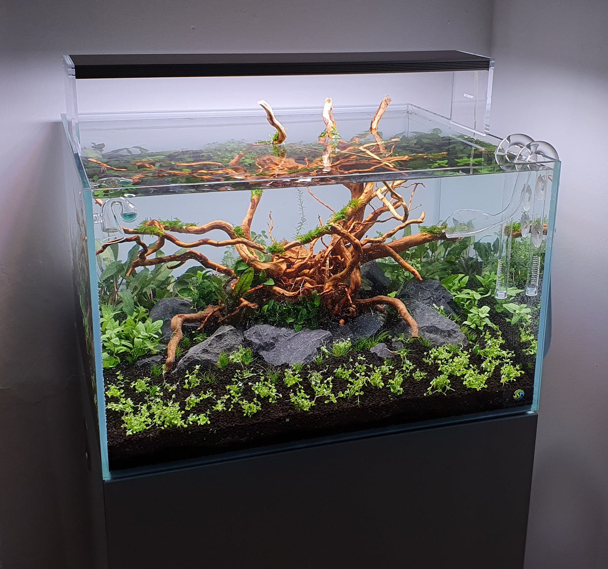 Layout 122 (110 L)