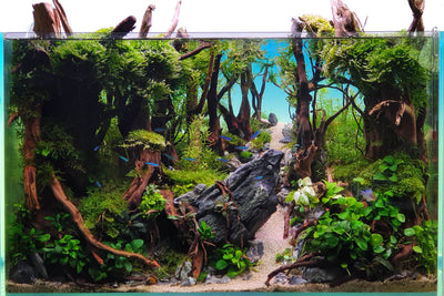 Layout 123 (82 L)