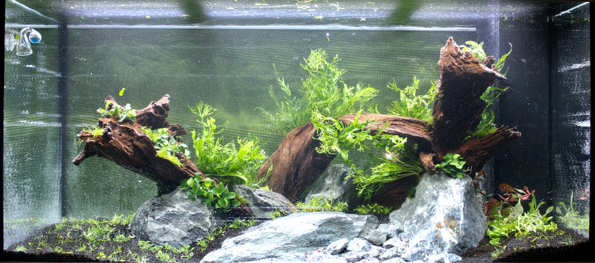 Layout 128 (350 L)