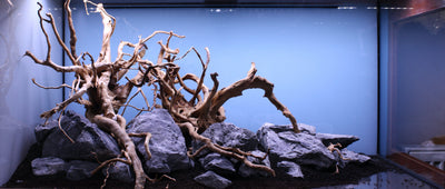 Layout 129 (272 L)