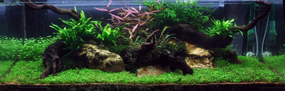 Layout 7 (270 L)