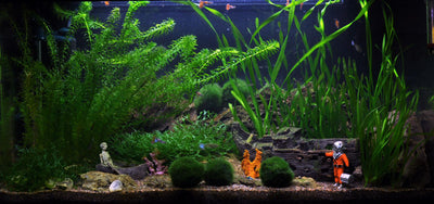 Layout 15 (112 L)