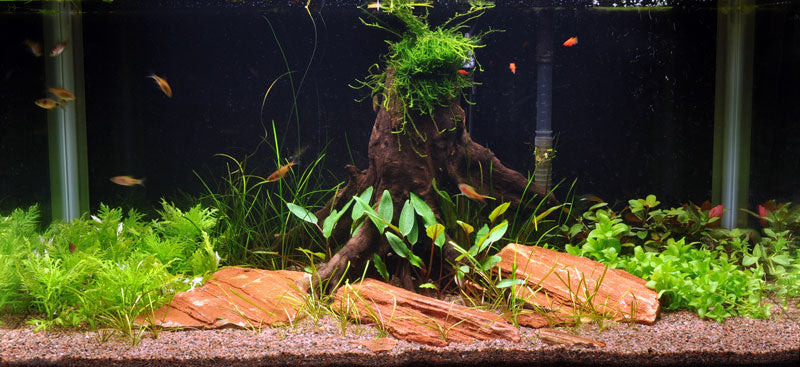 Layout 17 (128 L)