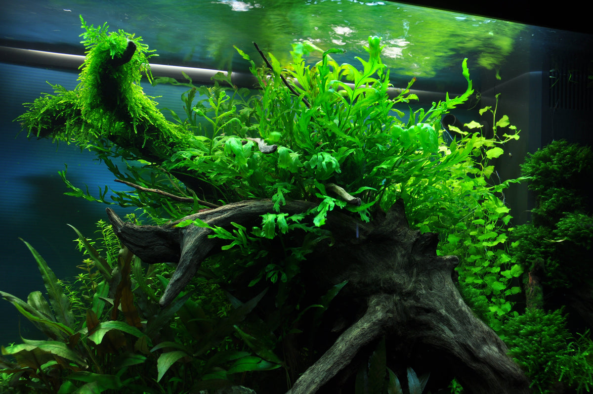 Layout 34 (140 L)