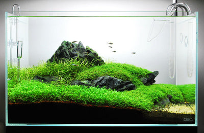 Layout 59 (60 L)