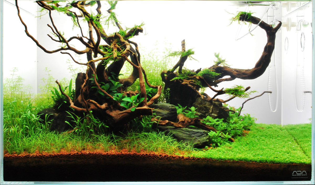Layout 71 (60 L)