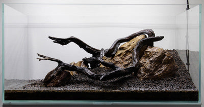 Layout 77 (80 L)