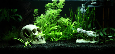 Layout 90 (54 L)