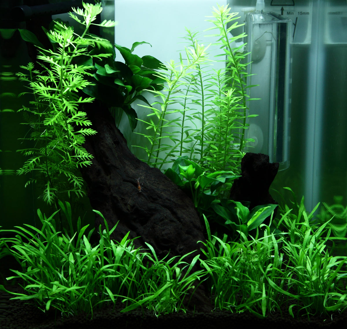 Layout 92 (15 L)