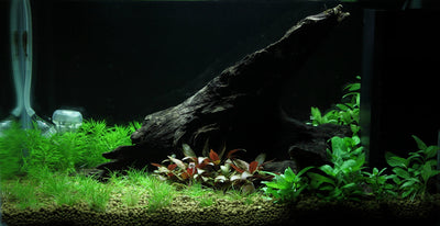 Layout 93 (25 L)