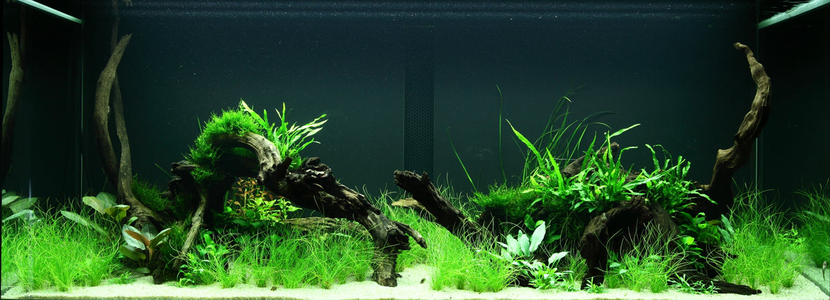 Layout 95 (300 L)