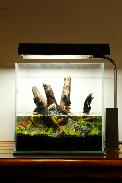 Layout 102 (25 L)