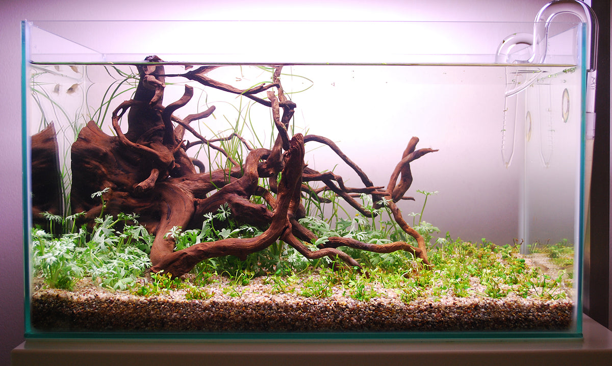 Layout 103 (28 L)