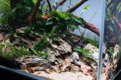 Layout 115 (35 L)